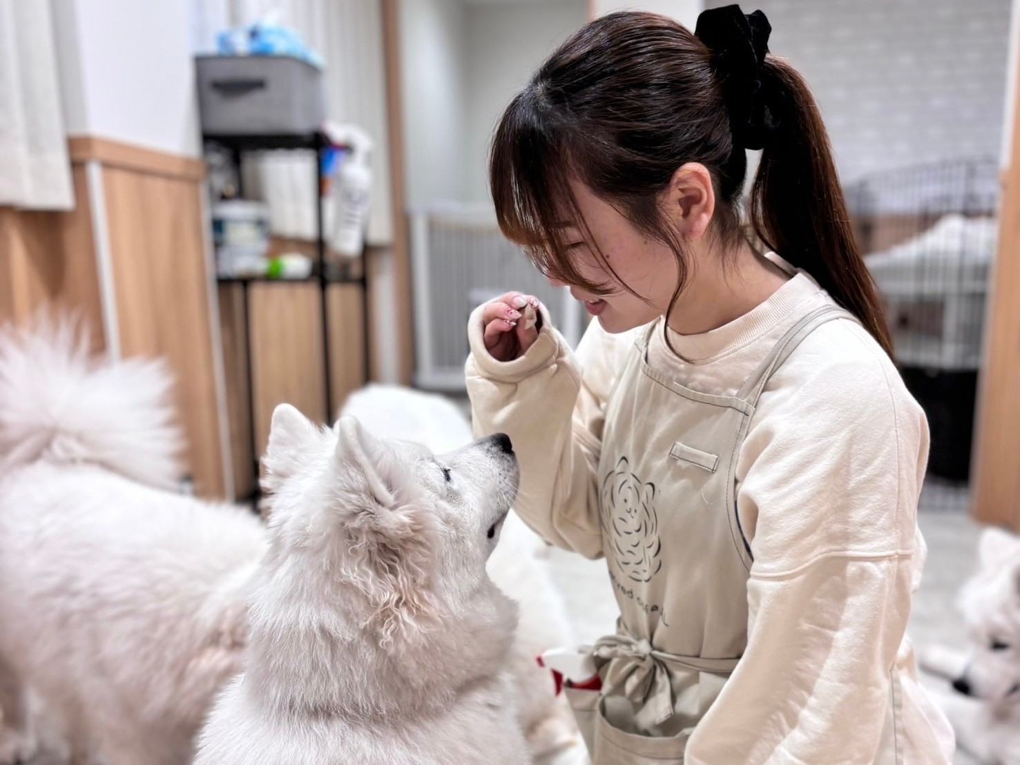 イメージ画像
