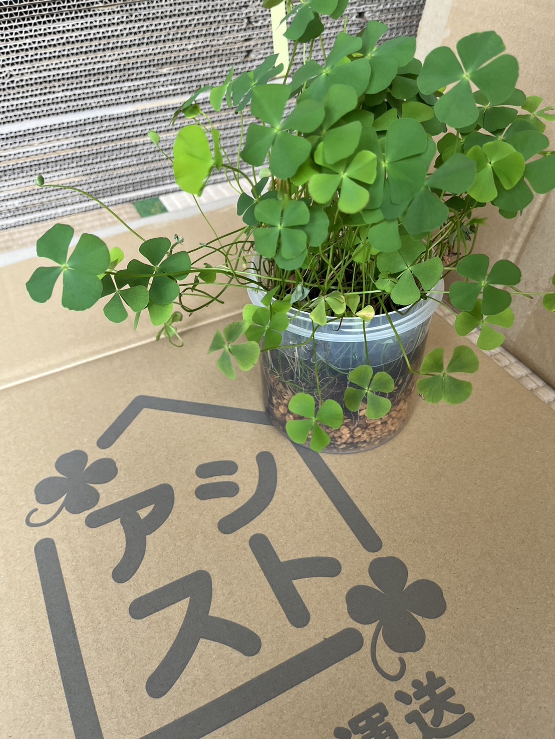 イメージ画像