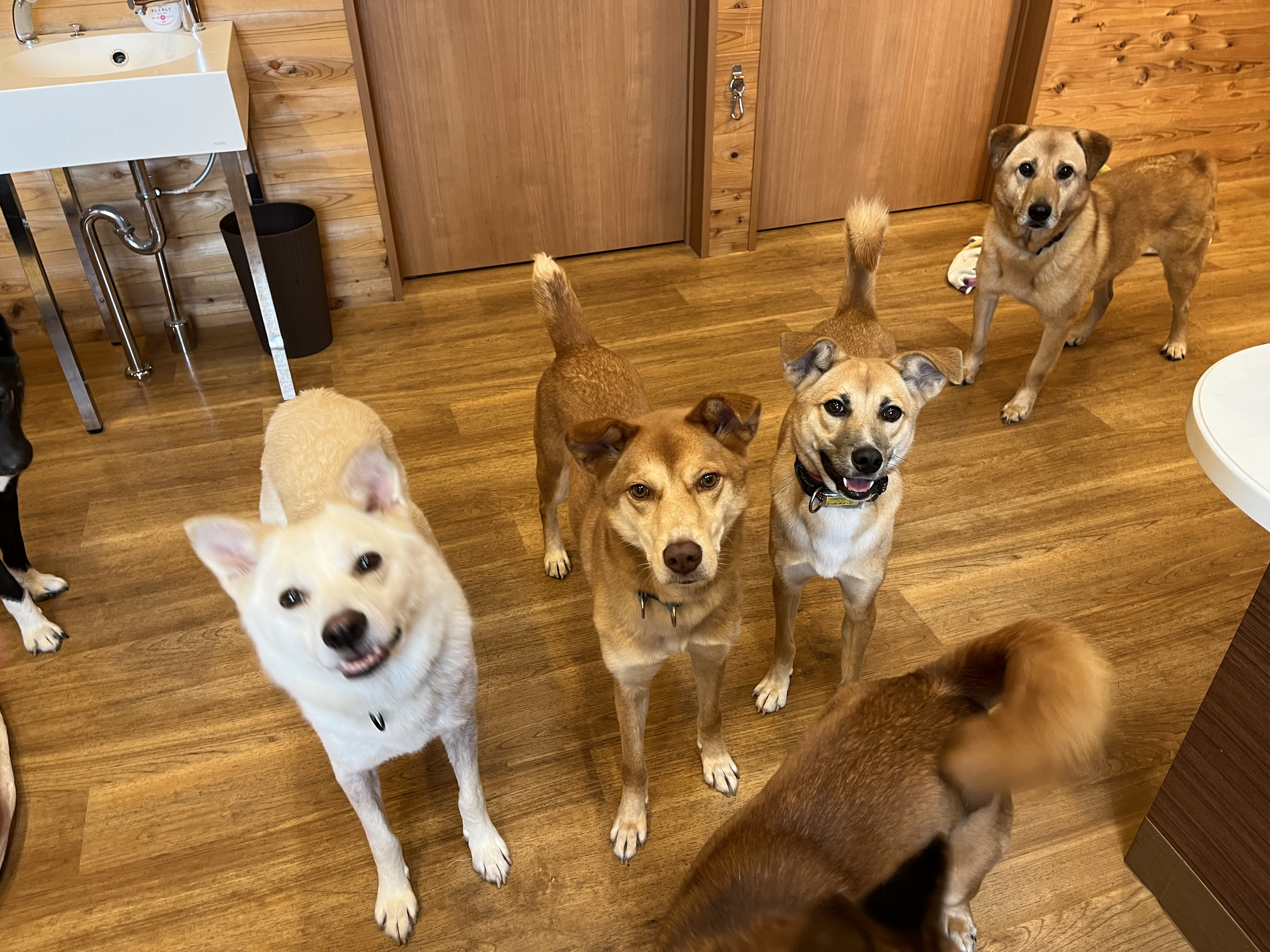 イメージ画像